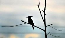 励志人生：陪你走过青春羁旅