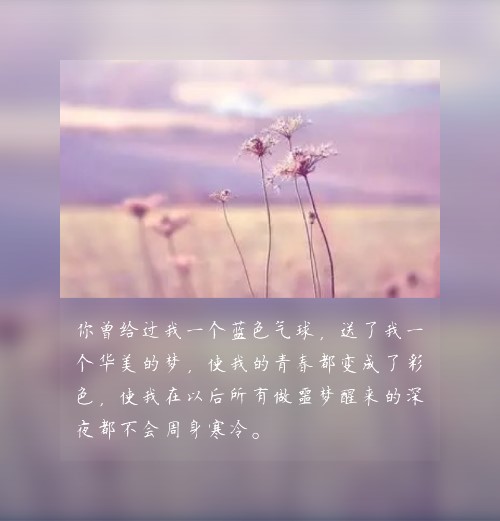 经典而优美的句子