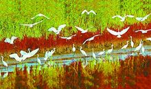 张抗抗：去传化大地看一看