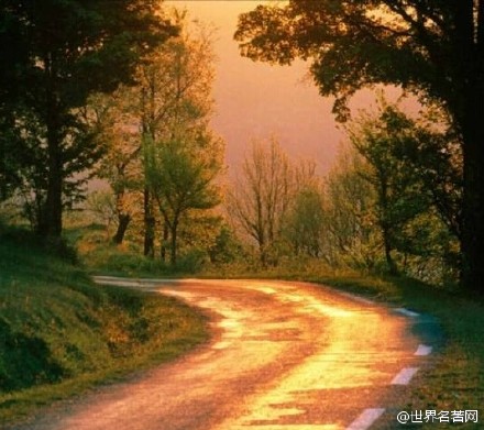 张康康：故乡遥远