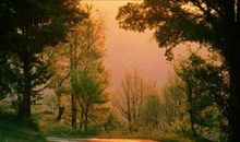 张抗抗：故乡在远方