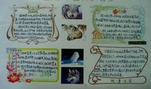 狼王梦读书笔记