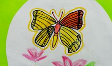 描写蝴蝶的好段