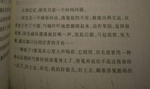 读狼王梦有感800字