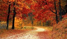 没有退路，才有出路