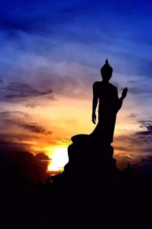 苦难是人生的实践