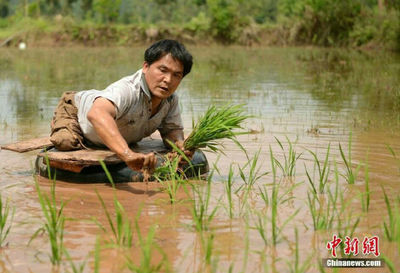 不要羡慕别人的成功