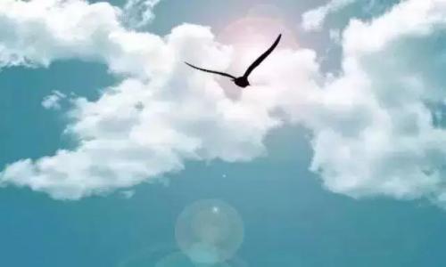 年轻人没有未来