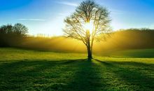 或许你就在成功的路上