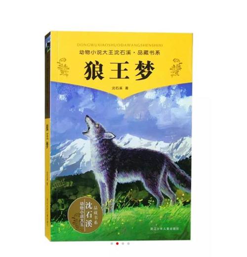 读完《狼王的梦》后的600字