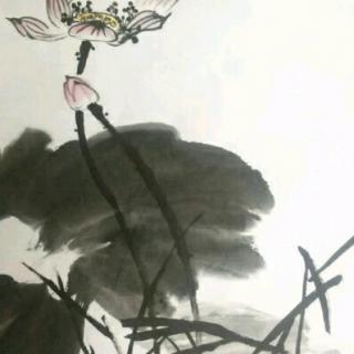 杜甫：满语满兴·熟识茅斋的很低