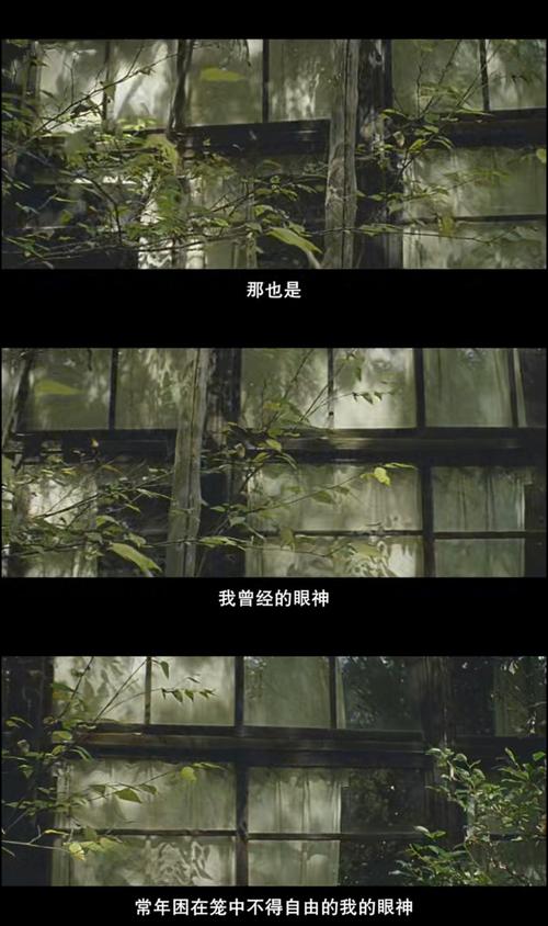 评《成沙的味道》