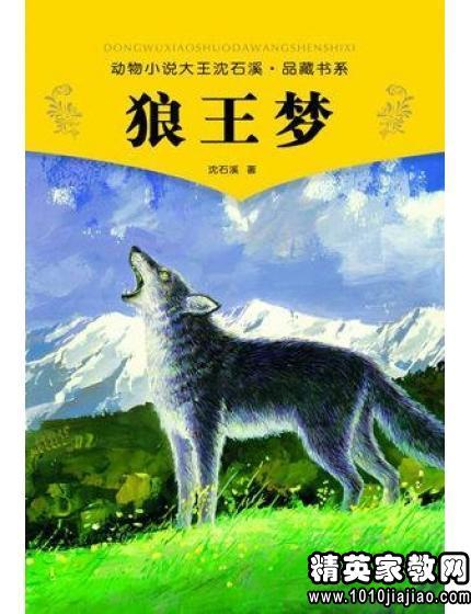 读完《狼王的梦》后300字