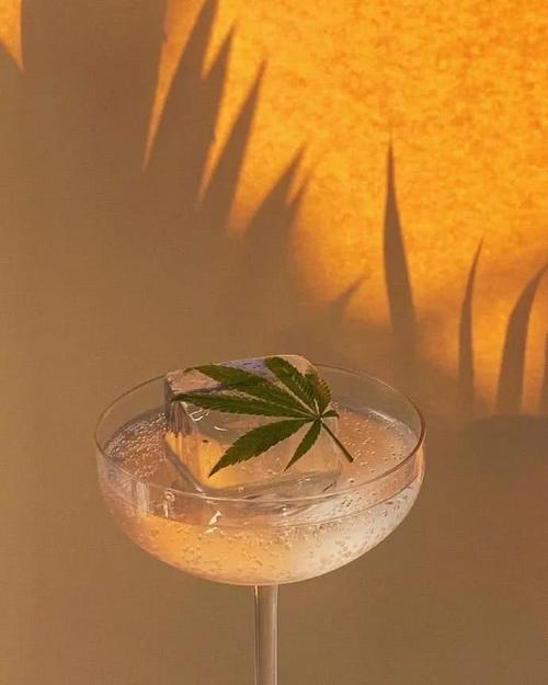 晚安想法：时间只是偶尔的安静，生活总是充满烦恼