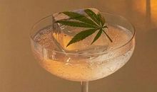 晚安心语：岁月只是偶尔静好，人生永远充满烦恼