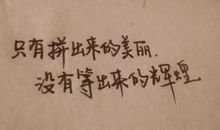 2016最经典的句子