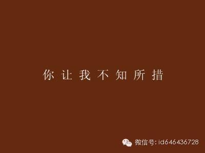 2016年最伤心的一句话