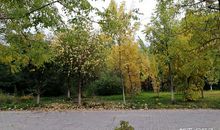 只有退潮后，你才知道谁在裸泳