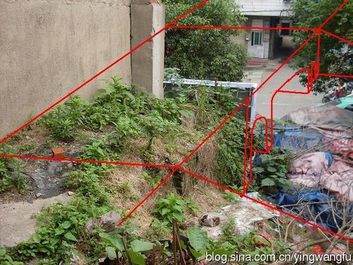 用句子表达意见