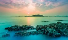 舒婷：礁石与灯