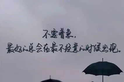 经典语录：愿我们在没有时间的情况下转头，彼此分享爱心