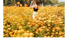 每一次努力都有隐藏的意义