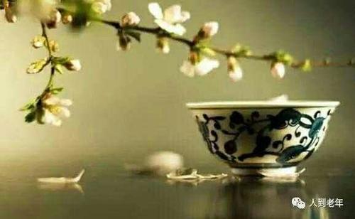 聪明的人永远不会说这十件事