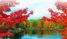 一位40年教龄的名师的20条经验