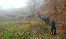 子夜读后感3000字