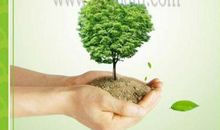 心理咨询宣传语