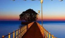 传递正能量的话