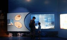 学雷锋演讲稿100字