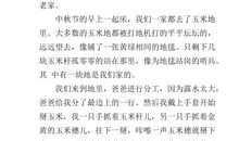 快乐的中秋节作文