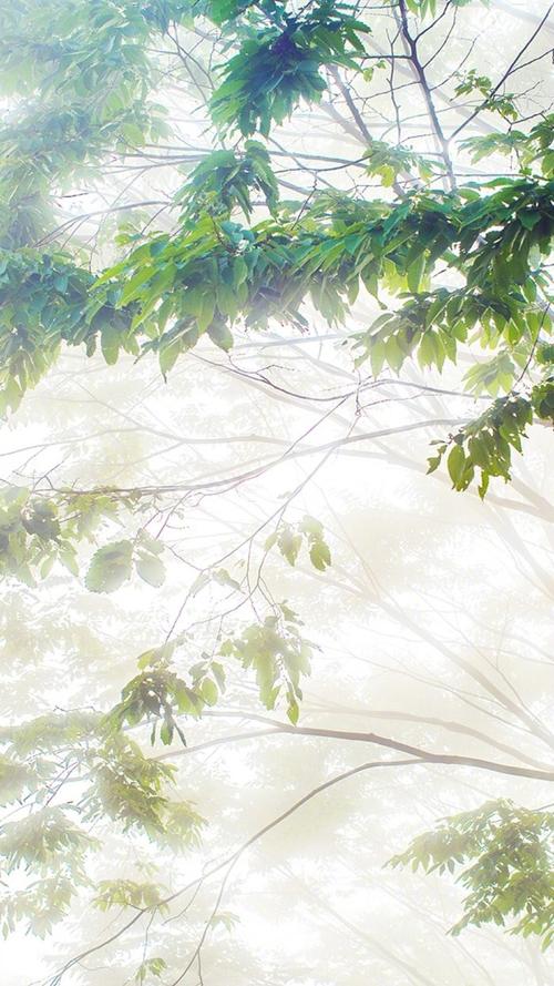 经典语录：天真的人很软心，成熟的人最无情