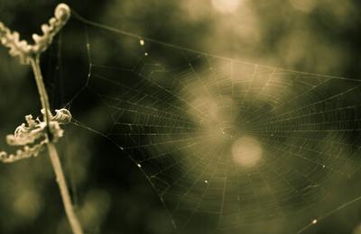 鼓舞人心的故事的另一面