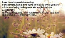 描写花儿的佳句