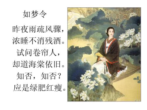 李庆照：如梦岭·昨晚大风大雨