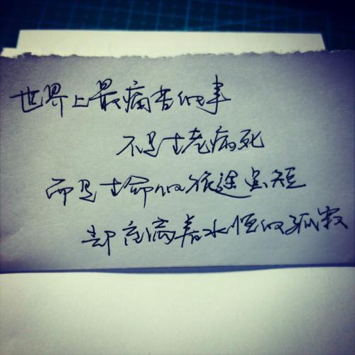 最经典的微博句子