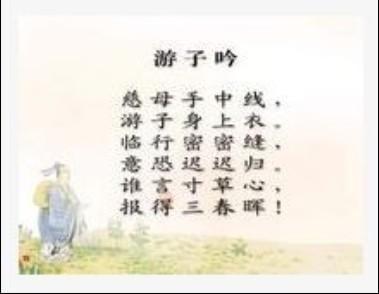 赞美母爱的句子