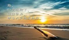 不要去奋斗， 而是要去热爱