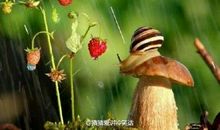 跟着蜜蜂，就能找到花朵，跟着苍蝇，只能找到厕所