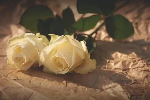 八句话，清楚地看到别人，了解自己