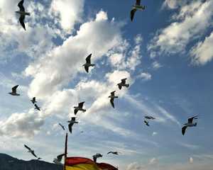 比吸毒成瘾更可怕的是垃圾幸福成瘾