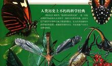 昆虫记简介50字