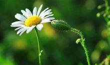 爱情离别开心的句子说说心情 开心离别的经典语录