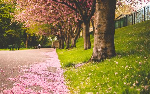 我感到非常高兴一句话我感到非常高兴1