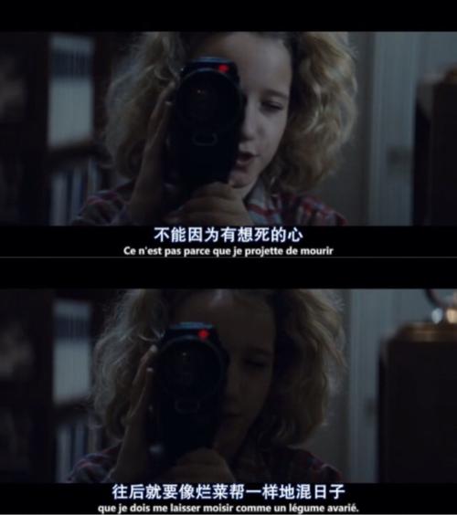 刺猬的优雅经典线条