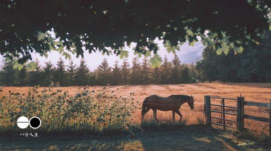 我累了，换个角度