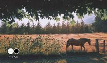 心累了，换个角度试试