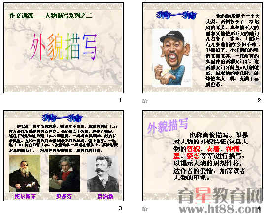 50个字的字符描述片段